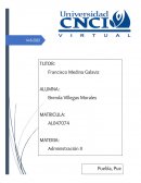 Elementos, recursos y clasificaciones que conforman a una organización