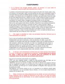 Película “las tortugas también vuelan”