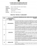 PELICULA “OFICIAL Y CABALLERO”