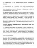 LA PANDEMIA COVID – 19 Y SU INCIDENCIA DIRECTA CON LAS AUDITORIAS EN ECUADOR