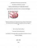Resistencia antibiótica de las infecciones del tracto urinario en niños menores de 12 años del servicio de pediatría del Hospital San Juan de Lurigancho, 2021