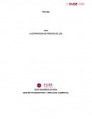 Caso LA ESTRATEGIA DE PRECIOS DE LIDL