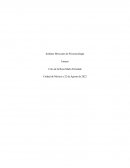 ENSAYO PSICOLOGIA SOCIAL