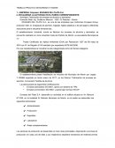 TRABAJO PRACTICO SEGURIDAD E HIGIENE