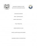 La constitucion politica de los estados unidos mexicanos