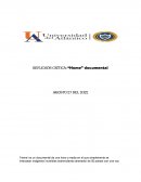 Reflexión crítica: “Home” documental