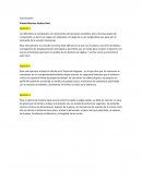 Miembros sujetos a compresion. Conclusiones