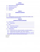 Estructura de Trabajo - Factores Externos