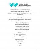 Uso tradicional de la manzanilla como planta medicinal