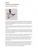 La química del agua y la contaminación hídrica