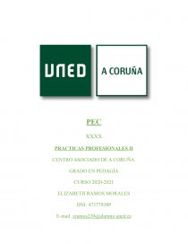 PEC DIAGNOSTICO DE NECESIDADES. Página 1
