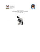 Visualización de células procariontes y eucariontes al microscopio óptico