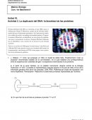 Duplicació de l'ADN