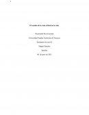 El sentido de la vida al final de la vida