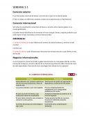 Inversión Minera - Apuntes 2