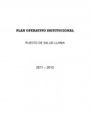 PLAN OPERATIVO INSTITUCIONAL