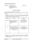 DESARROLLO PERSONAL Y SOCIAL