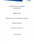 Lencería Premium de Exportación