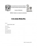 MÓDULO: Gestión en la atención de enfermería