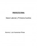 Salud Laboral y Primeros Auxilios