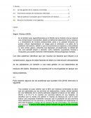 Indice proyecto individuo AVANCE 2