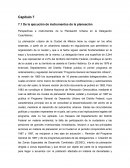 Perspectivas e instrumentos de la Planeación Urbana en la Delegación Cuauhtémoc