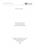 Sueños y ondas cerebrales