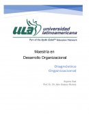 Maestría en Desarrollo Organizacional