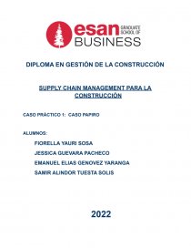 CASO PRÁCTICO 1: CASO PAPIRO. Página 1