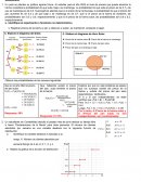 EXAMEN SOLUCIONARIO