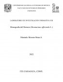 LABORATORIO DE INVESTIGACIÓN FORMATIVA VIII