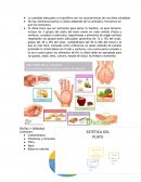 Apuntes Nutrición