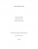 FUNDAMENTOS NEGOCIOS INTERNACIONALES