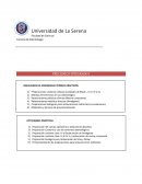 PRECLINICO INTEGRADO I