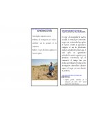 FERIA ESCOLAR DE CIENCIAS “EUREKA 2022