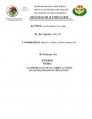 La importancia de la correcta visión en los sistemas de iluminación