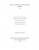 GERENCIA DE DESARROLLO SOSTENIBLE IBERDROLA