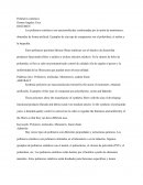 Polímeros sinteticos