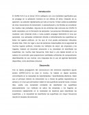 Uso del etanol en el covid