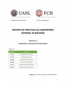 REPORTE DE PRÁCTICAS DE LABORATORIO INTEGRAL DE BIOLOGÍA