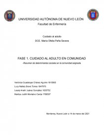 CUIDADO AL ADULTO EN COMUNIDAD. Página 1