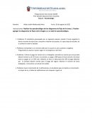 Tarea 3 - Pseudocódigo