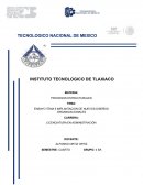 Implementacion de nuevos diseños organizacionales