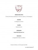 PROYECTO La Seguridad Pública en México.