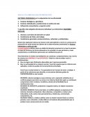 HACIA UNA MIRADA MAS HUMINIZANTE