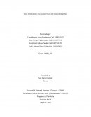 Inclusión y exclusión a través del ensayo fotográfico