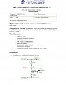 PRÁCTICA Y EXPERIMENTACIÓN DEL APRENDIZAJE: PEA