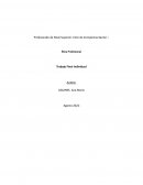 Ética Profesional Trabajo Final Individual