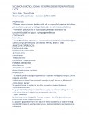 SECUENCIA DIDACTICA: FORMAS Y CUERPOS GEOMETRICOS POR TODOS LADOS