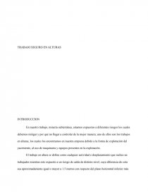 TRABAJO SEGURO EN ALTURAS. Página 1